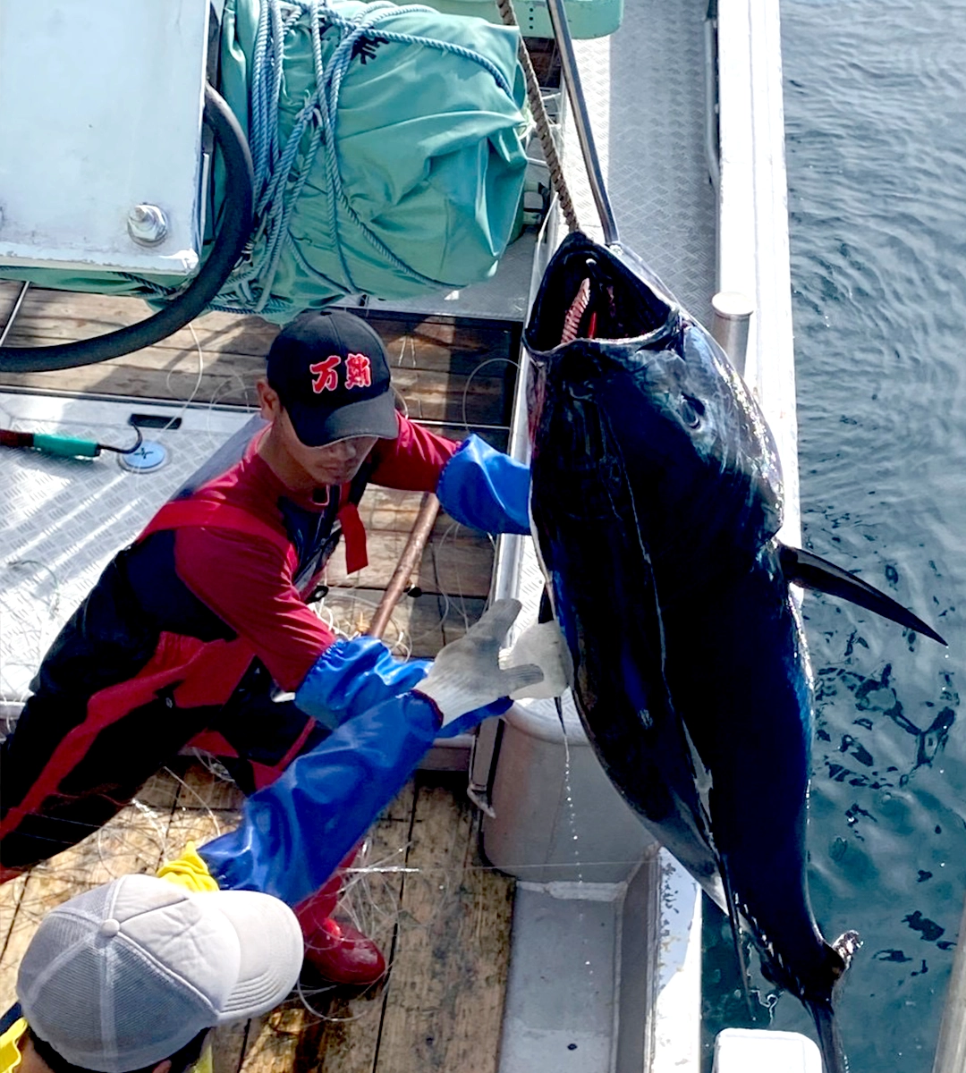 一般社団法人 全日本マグロはえ縄振興協会
